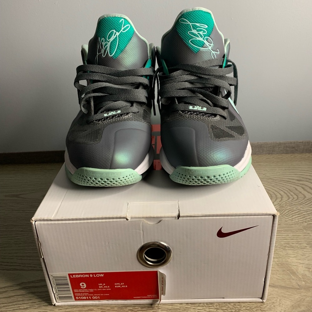 Lebron 9 low
